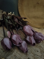 Tulpen licht paars